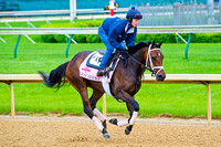 Got Lucky gallops around the main Churchill Downs race track in preparation for the 140th Kentucky Oaks.