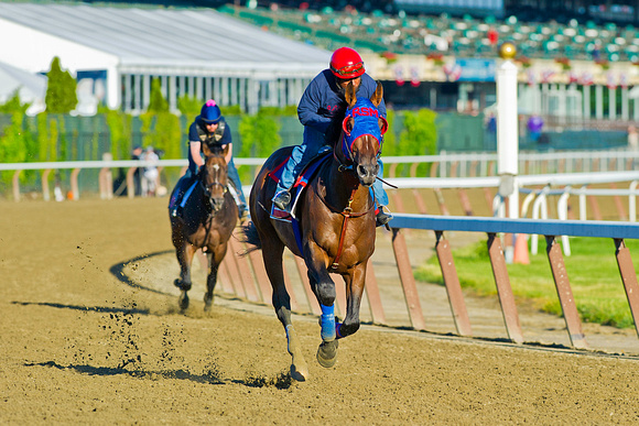 Social Inclusion jogs over the main track in preparation for the Woody Stephens Stakes at Belmont Park in New York.