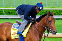Candy Boy galloped a mile and a half in preparation for the 140th Kentucky Derby.