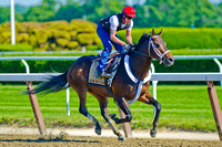 Ride On Curlin breezes 7 furlongs for his final workout in preparation for the 146th Belmont Stakes at Belmont Park in New York.