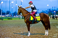 Exercise rider Willy Delgado soothes California Chrome before heading out for exercise in preparation for the 140th Kentucky Derby.