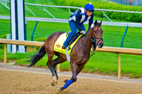 22nd on the 140th Kentucky Derby points list, Big Bazinga galloped a mile and a half in preparation.