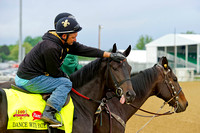 Kentucky Derby 140 contender Dance With Fate gets soothed before galloping a mile and a quarter at Churchill Downs in Louisville, Kentucky.