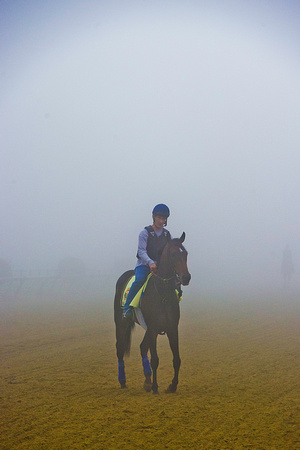 Ria Antonia jogs through the heavy fog at Pimlico Race Course to prepare for the 139th Preakness Stakes in Baltimore, Maryland.