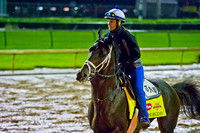 Kentucky Derby 140 contender Intense Holiday takes a stroll on the sloppy Churchill race track.